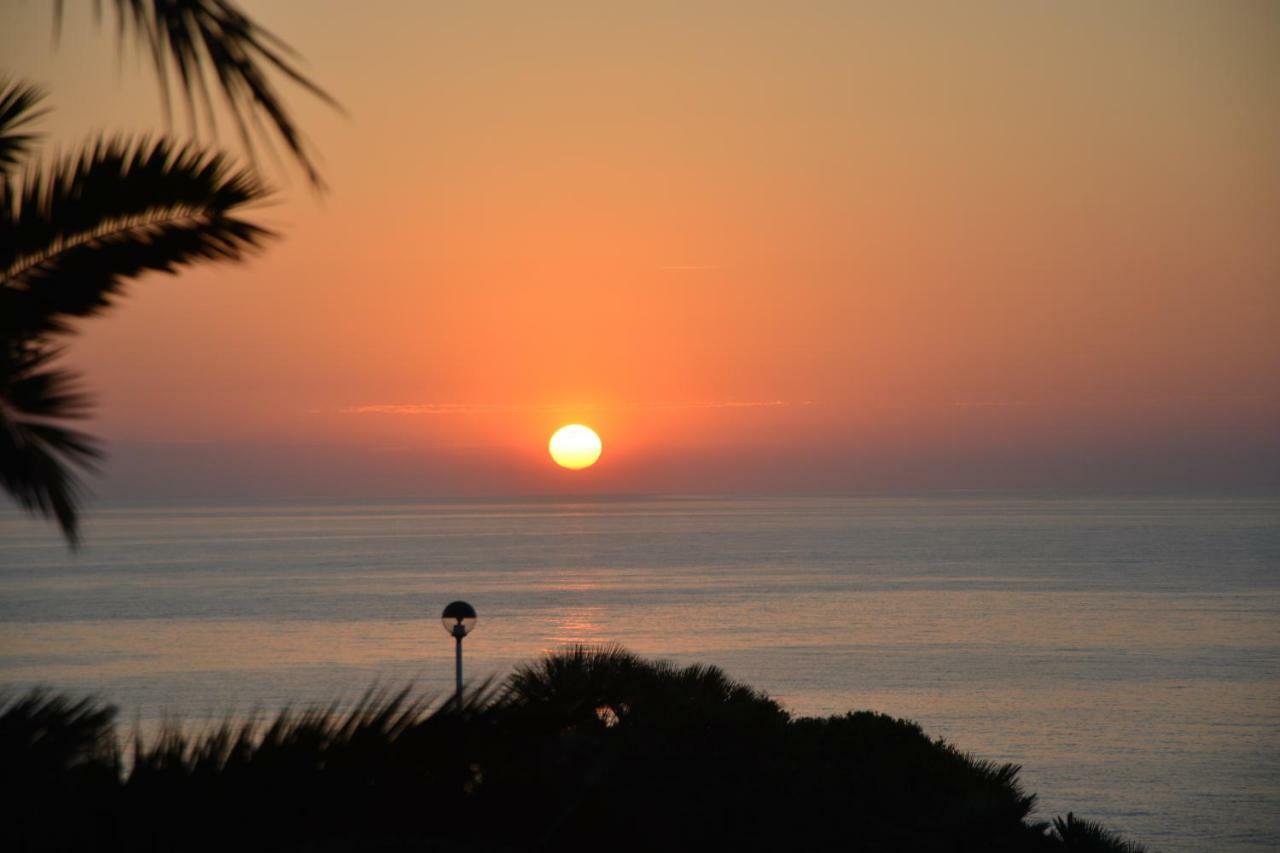 El Apartamento De Papa - Mil Palmeras Dehesa de Campoamor  エクステリア 写真